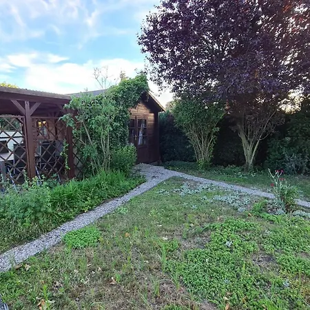 公寓 Bernsteinbad-koserow-haus-fuenf-elemente-ferienwohnung-erde 科瑟罗